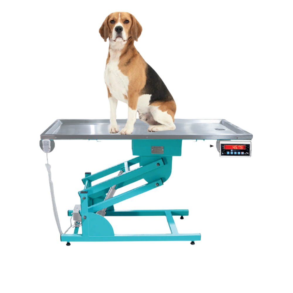 Z-TİP TARTILI MUAYENE MASASI