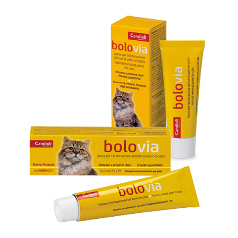 BOLOVİA PASTA (50 ML)