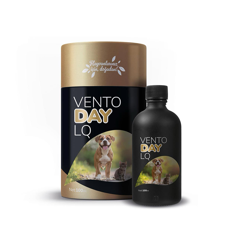 VENTO DAY LQ (100 ML)