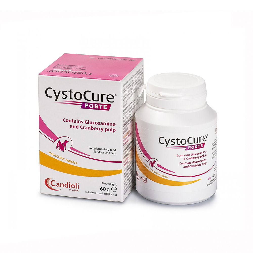 CYSTOCURE FORTE (30 GR)