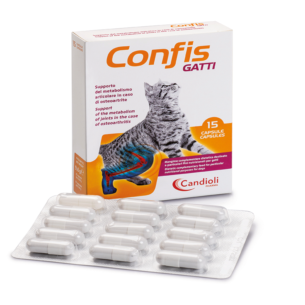 CONFİS KEDİ (15 KAPSÜL)
